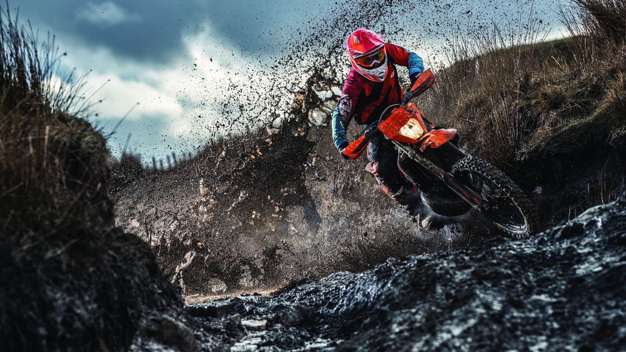 雷恩残阵被淘汰，克鲁日进军下一轮，克雷恩什么意思