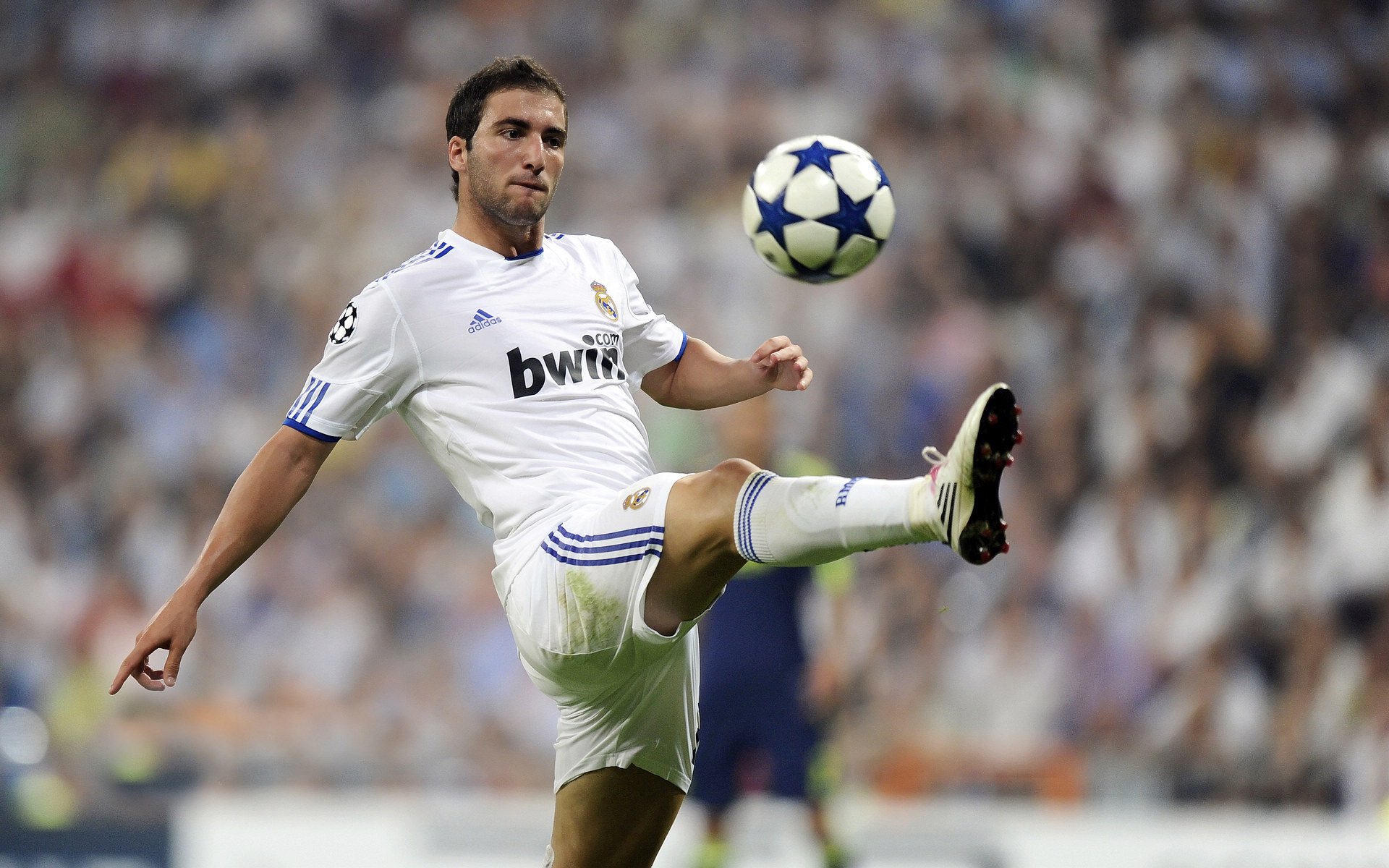 北京鸭提升命中率建立稳定得分节奏，北京鸭是标准品种吗